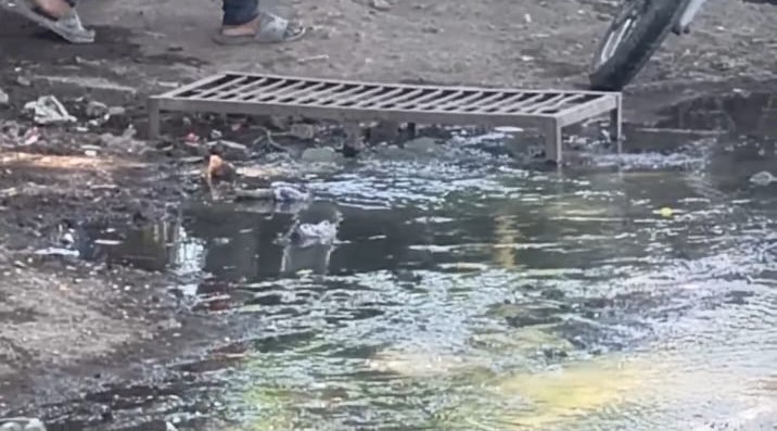सय्यद नगरमध्ये पुन्हा ड्रेनेज तुंबले; नागरिकांचा संताप शिगेला